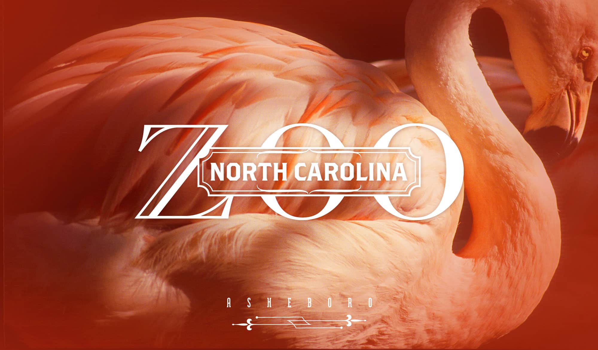 North Carolina Zoo