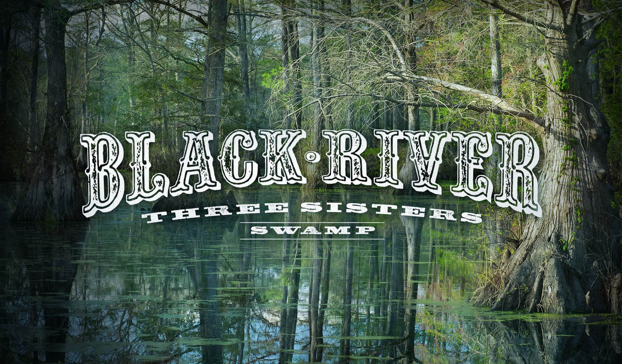Three Sisters Swamp