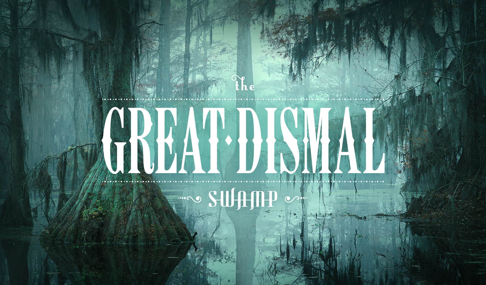 Dismal Swamp