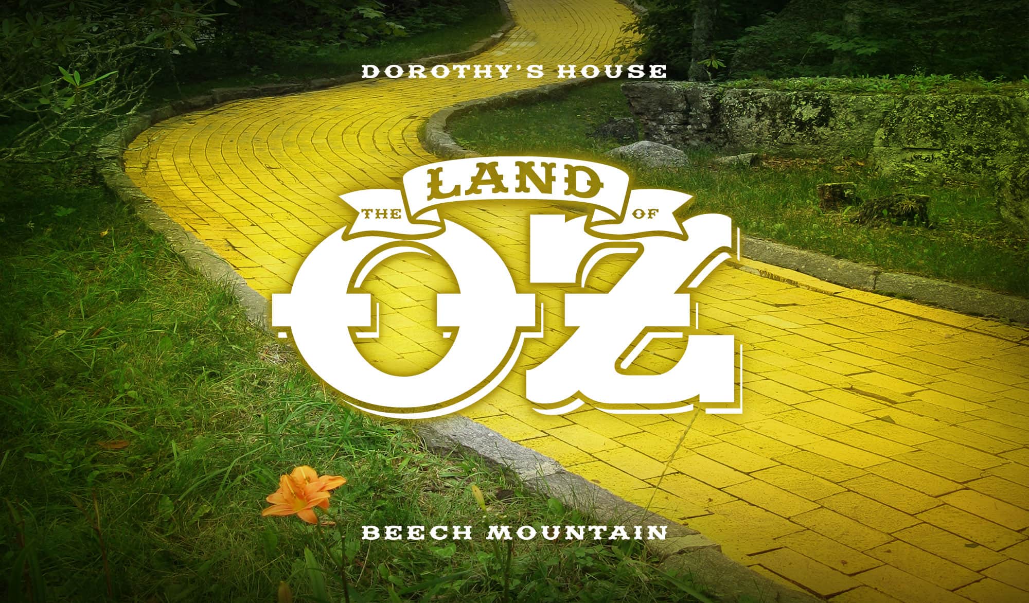 Dorothy