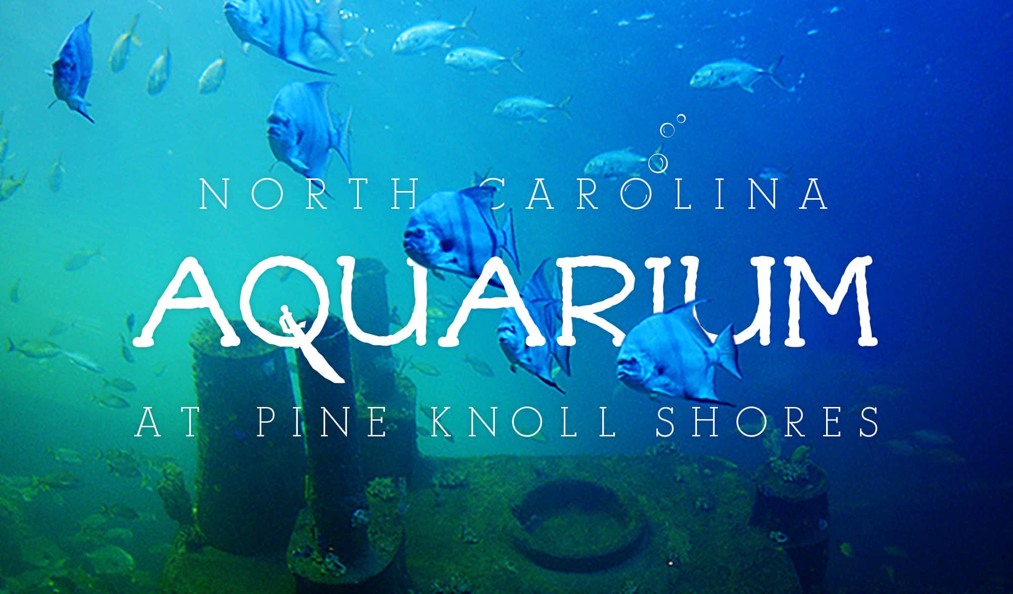 Aquarium at Pine Knoll Shores