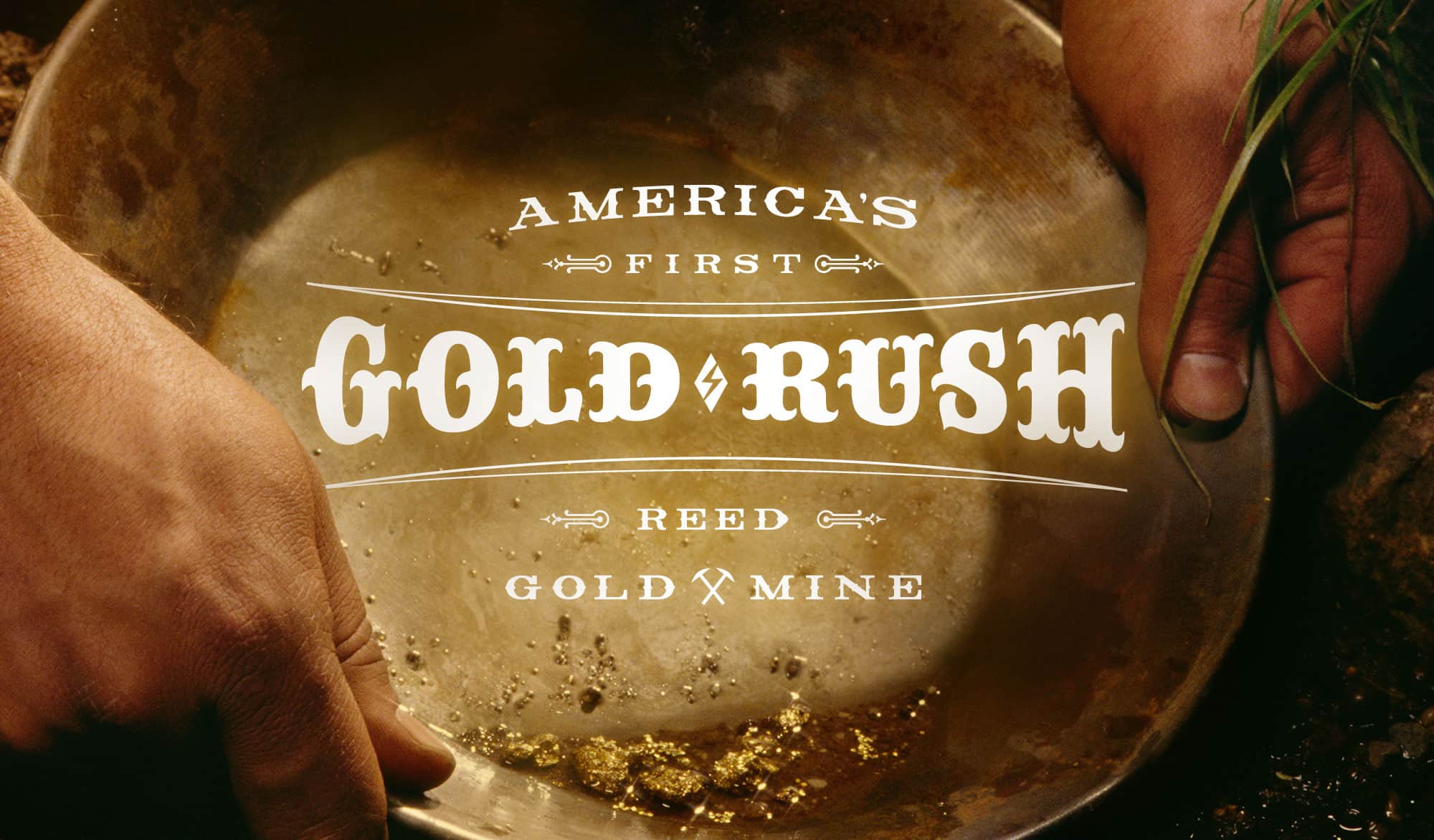 Reed Gold Mine