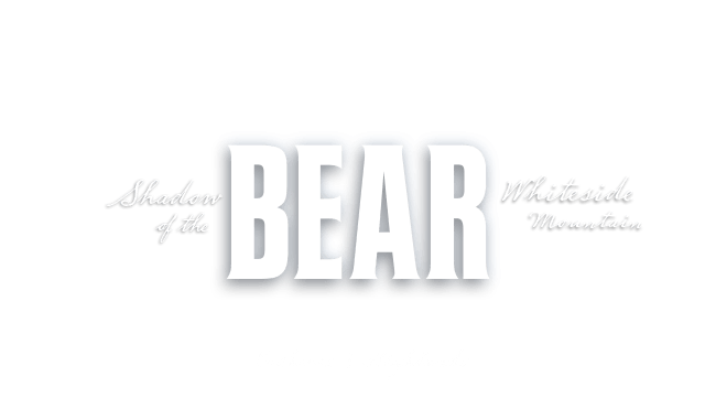 Shadow of the Bear