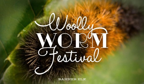 Woolly Worm
