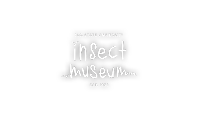 NCSU Insect Museum