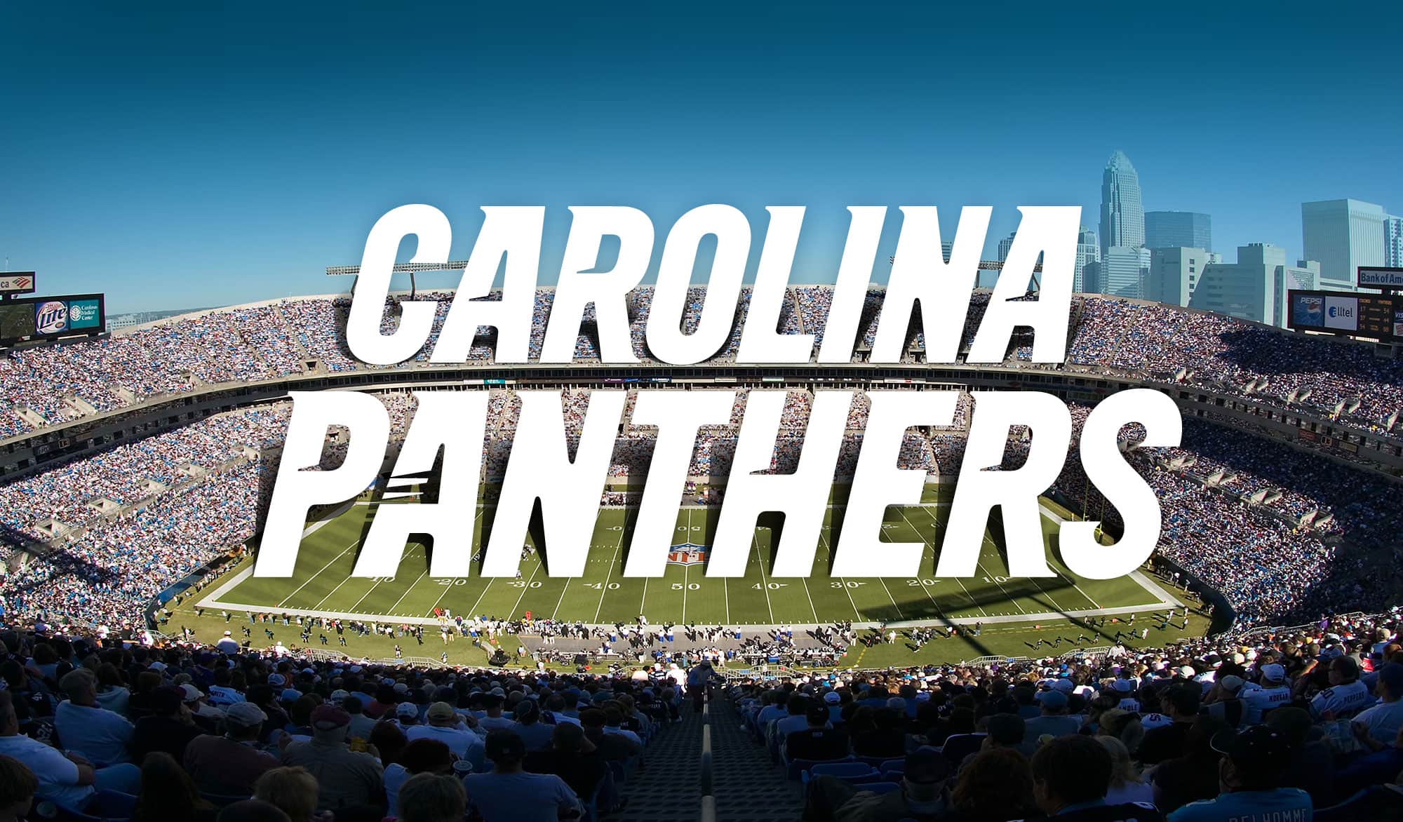 Panthers