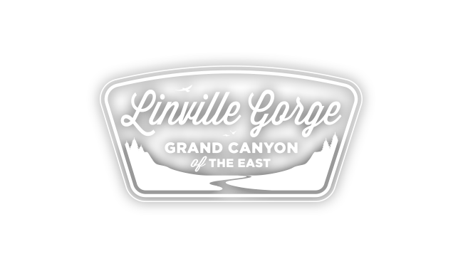 Linville Gorge