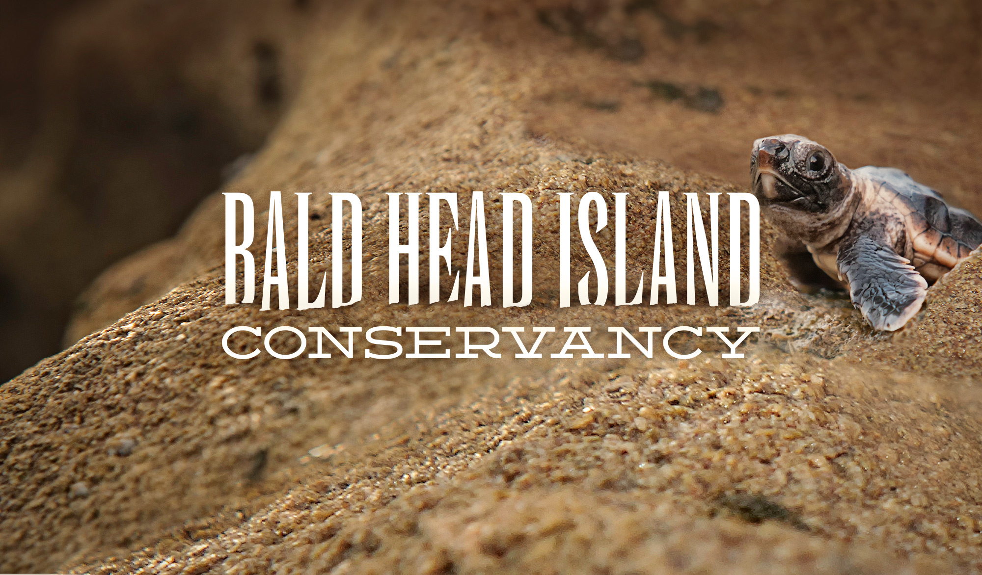 Bald Head Island Conservancy