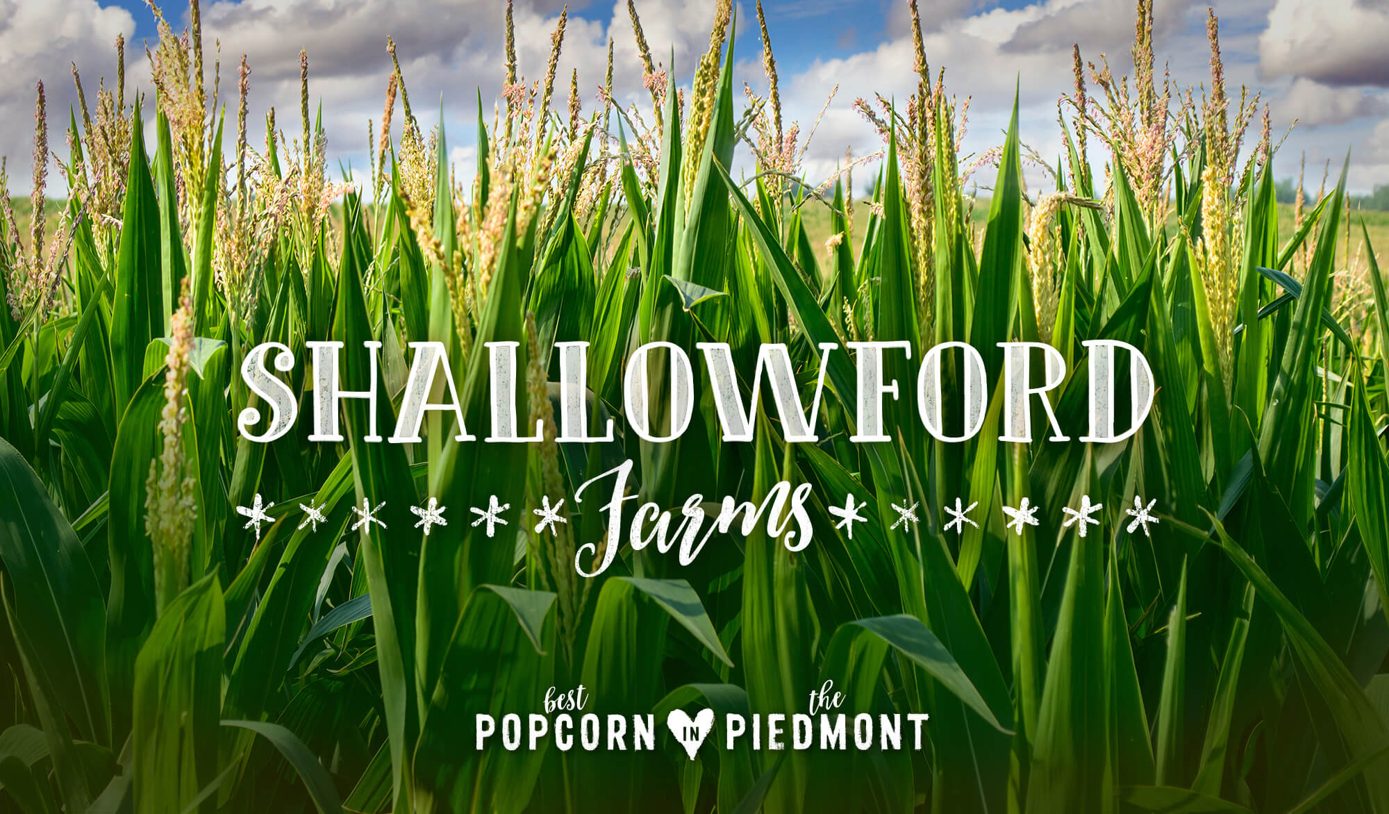 Shallowford Farms