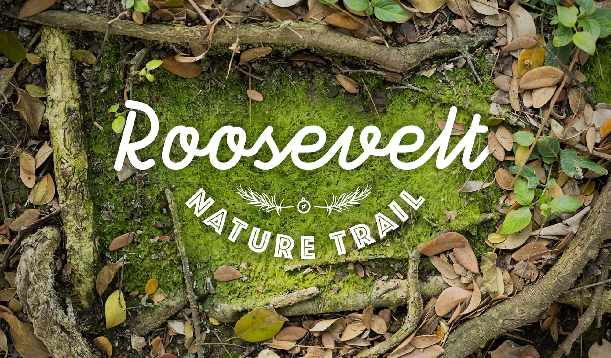 Theodore Roosevelt State Natural Area