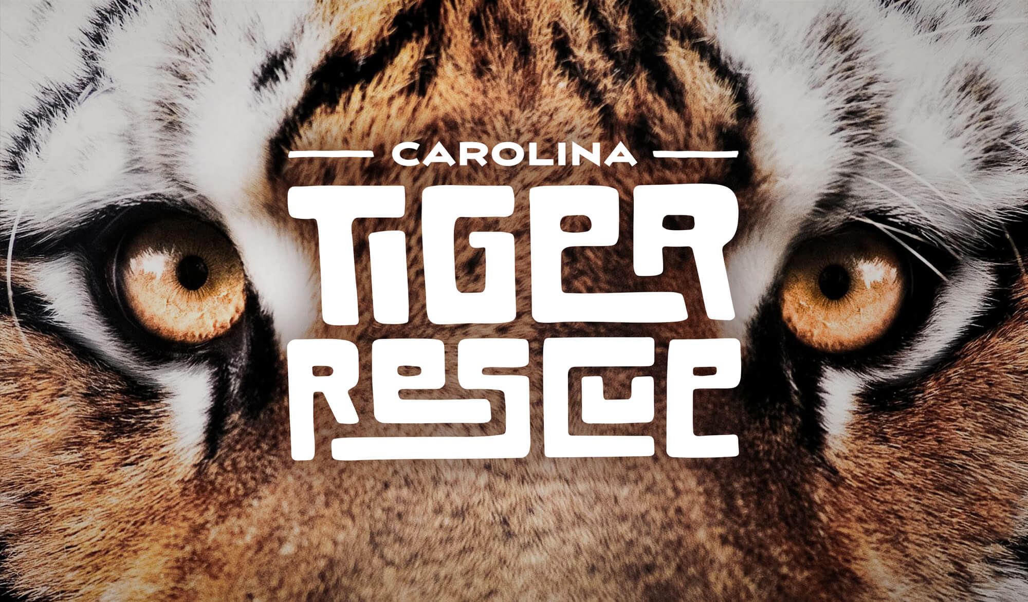Carolina Tiger Rescue