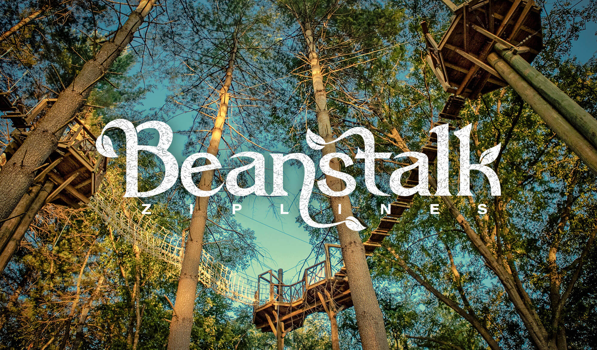 Beanstalk Ziplines