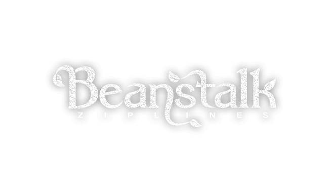 Beanstalk Ziplines