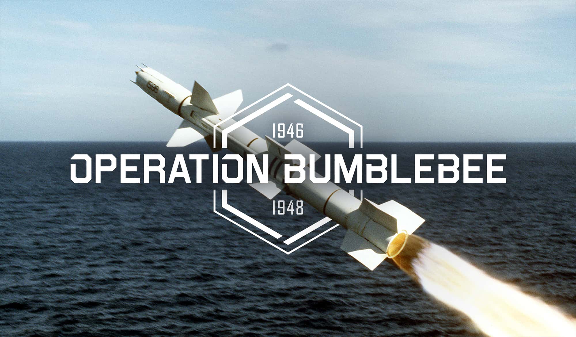 Operation Bumblebee