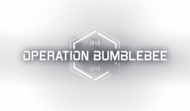 Operation Bumblebee
